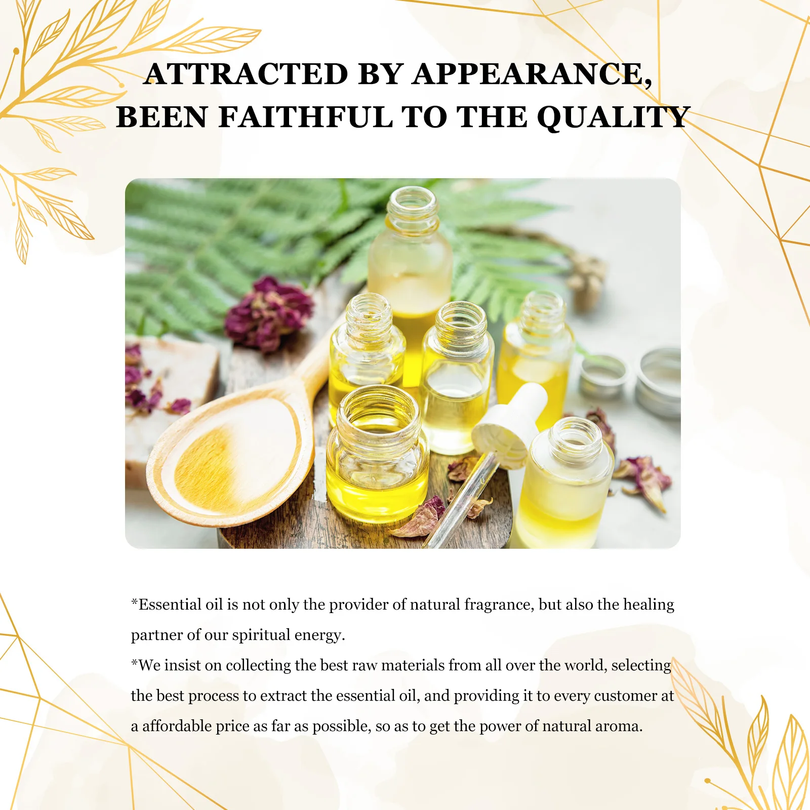EUQEE 10ml Natural Plant Essential Oil with Dropper For Diffuser Humidifier Lavender Jasmine Eucalyptus Vanilla Essential Oils - Image 6